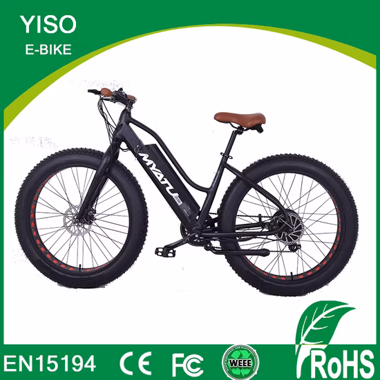 Nova bicicleta motorizada Beach Cruiser feminina com pneus largos e quadro de passo aberto