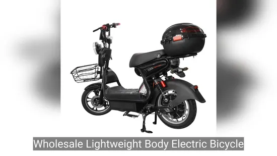 Beach Cruiser E